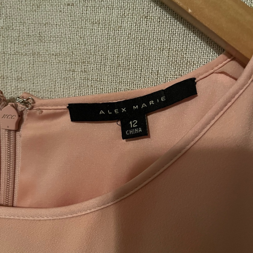 Alex Marie Shift Dress Size 12 - Picture 4 of 6